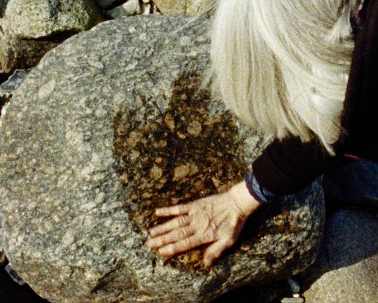 《随风而逝》纪录片封面