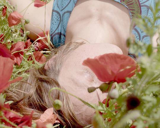 《O Canto das Amapolas》电影封面