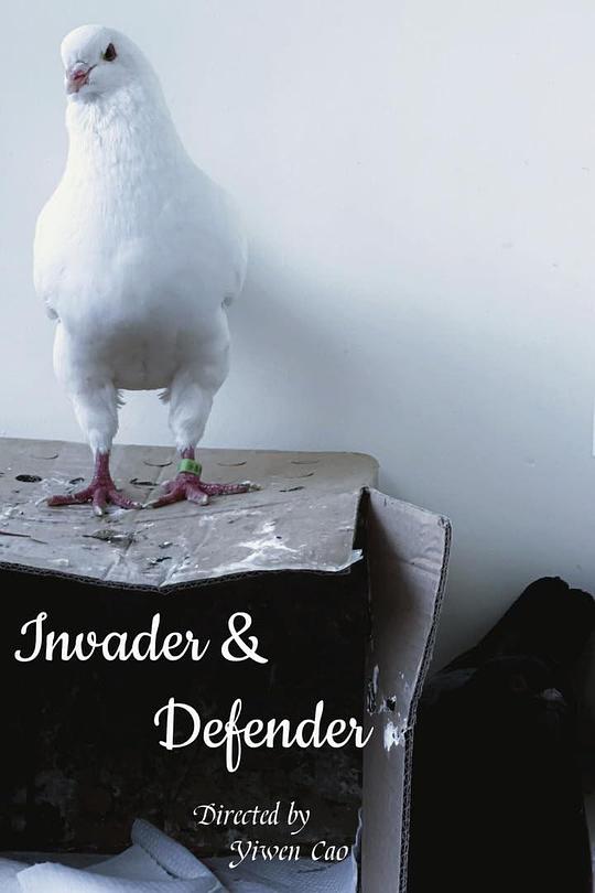 《Invader and Defender》电影封面