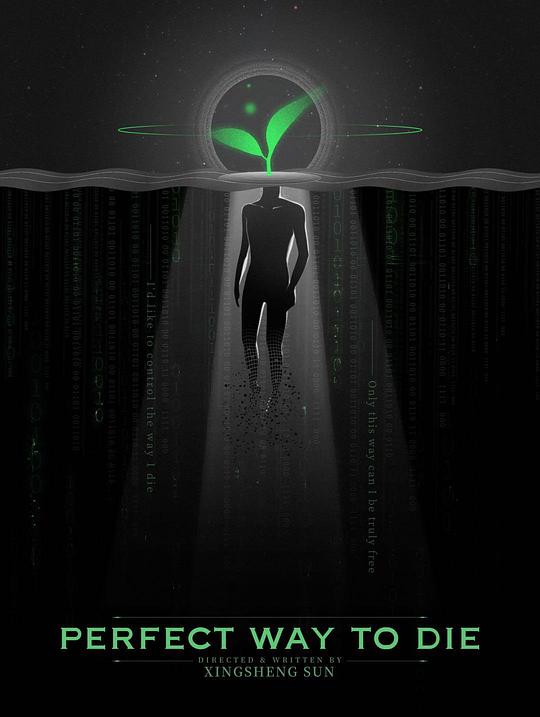 《完美的死法》电影封面