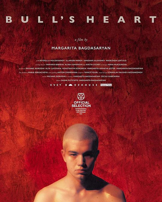 《硬壳之下》电影封面