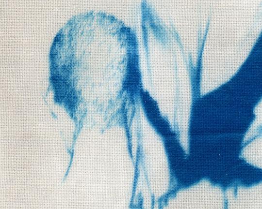 《隧道漫步》电影封面