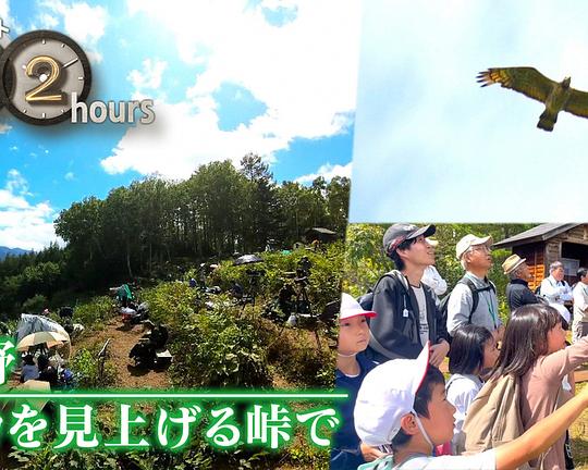 《ドキュメント72時間：長野 タカを見上げる峠で》电影封面