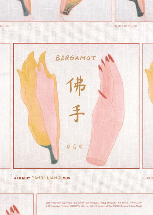 《佛手》动画封面