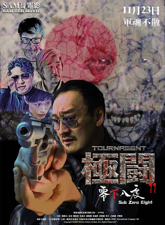 《極闘11零下八度》电影封面