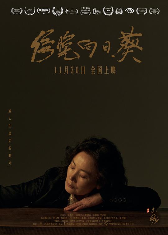 《傍晚向日葵》电影封面