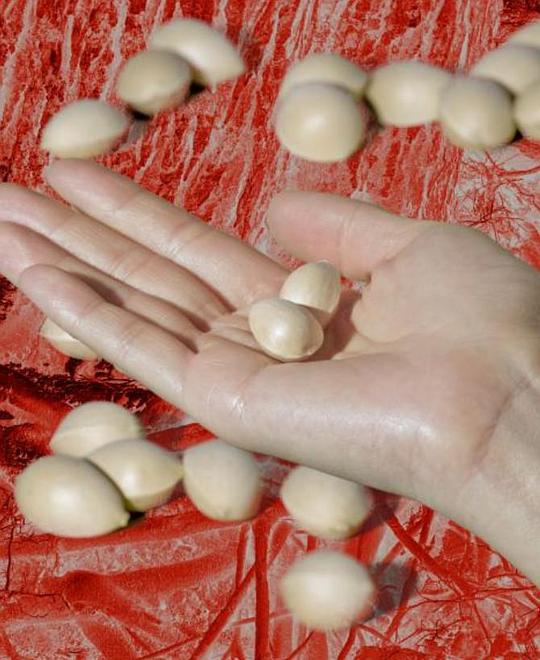 《银杏和其它时间》电影封面