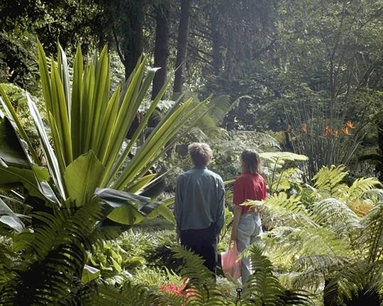 《花园》电影封面