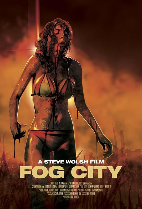 《雾城》电影封面