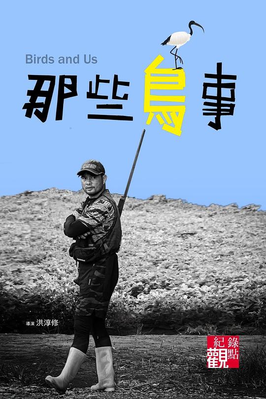 《那些鸟事》纪录片封面