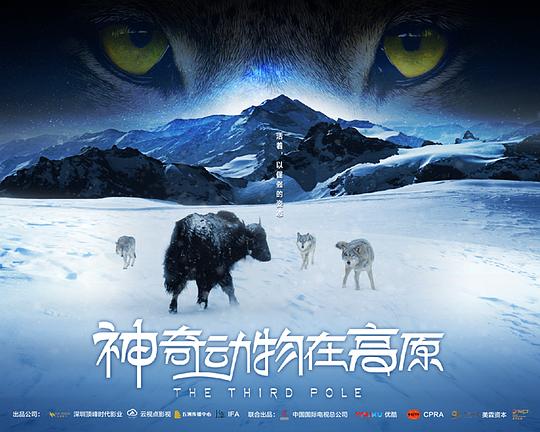 《神奇动物在高原》纪录片封面