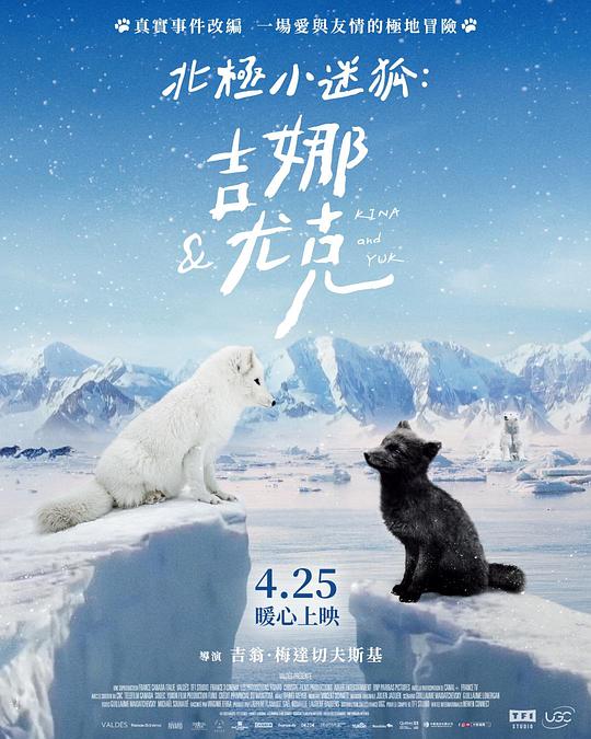 《北极小迷狐：吉娜和尤克》电影封面