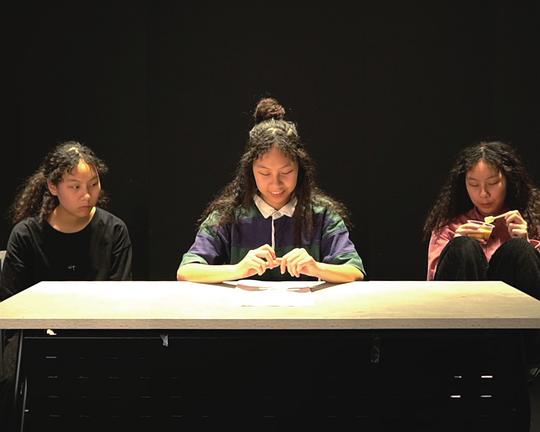 《自我虛訪》纪录片封面