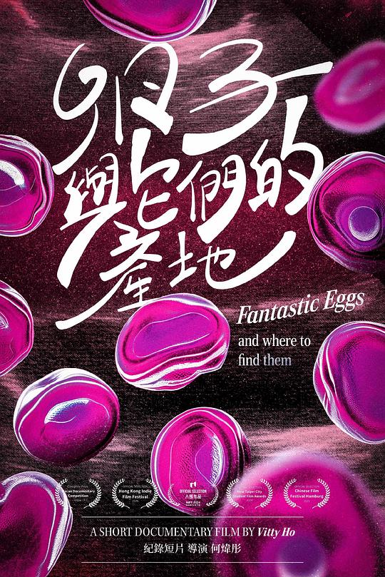 《卵子与它们的产地》纪录片封面