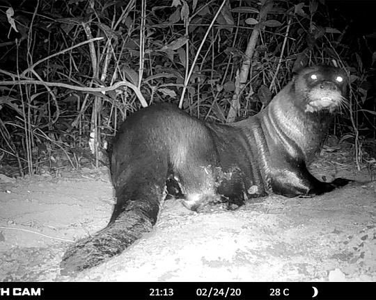 《Extramisión》纪录片封面