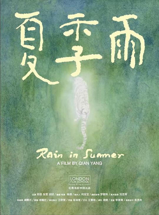 《夏季雨》电影封面