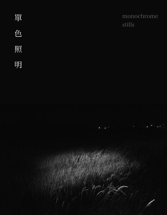 《单色照明》电影封面