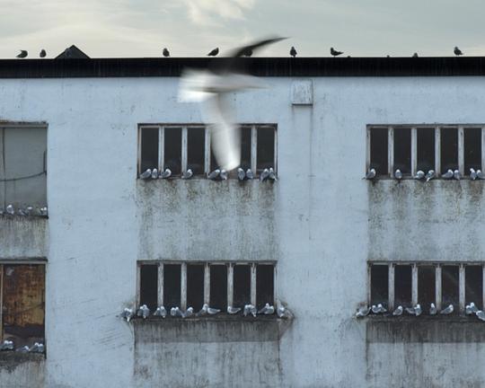 《她希望他离开，她希望他留下来》电影封面