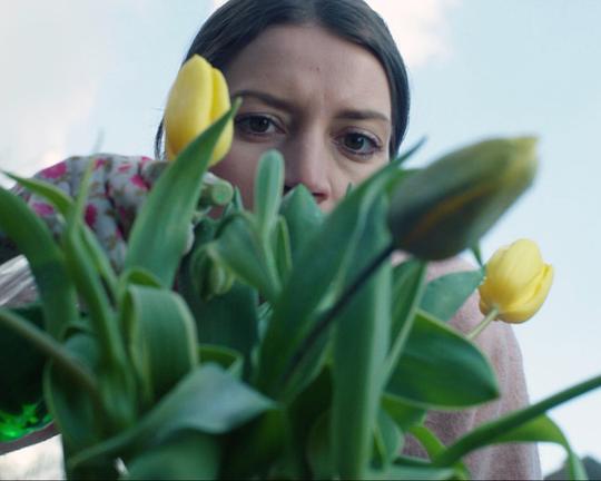 《Die Verdorbene》电影封面