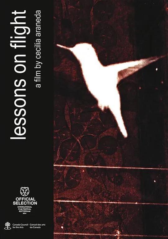 《Lessons on Flight》电影封面
