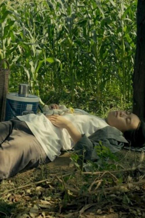 《黑色树叶的灵魂》电影封面