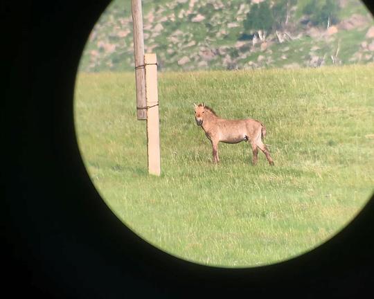 《劃線》电影封面