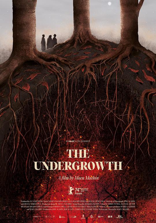 《枯枝败叶》纪录片封面