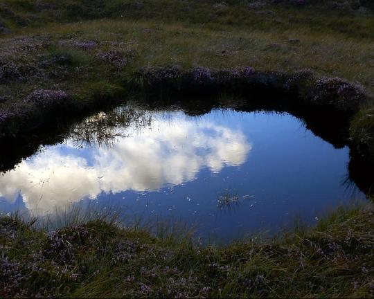 《通感》电影封面