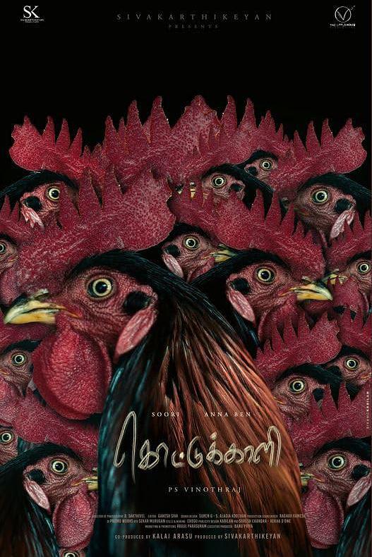 《固执的女孩》电影封面