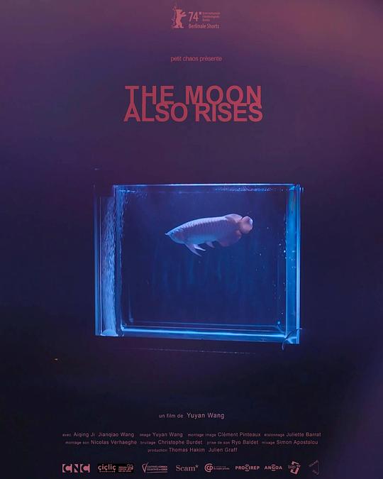 《月亮照常升起》纪录片封面