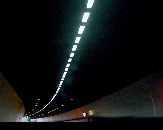 《暫棲》纪录片封面