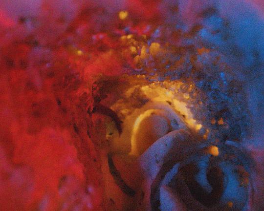 《路易斯与语言》纪录片封面