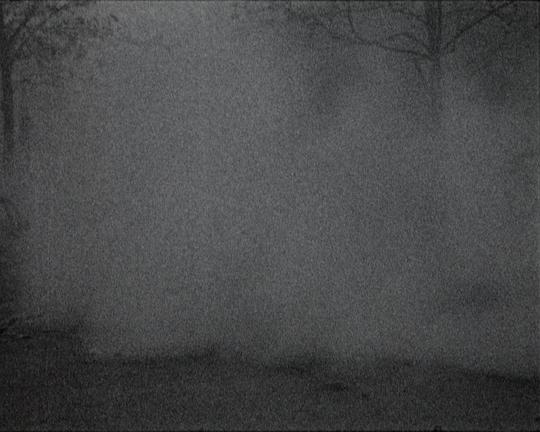 《WHAT FOG?》纪录片封面