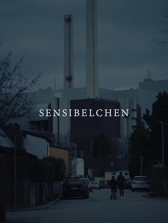 《敏感的心》电影封面