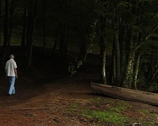 《我的爱人在哪里?》纪录片封面