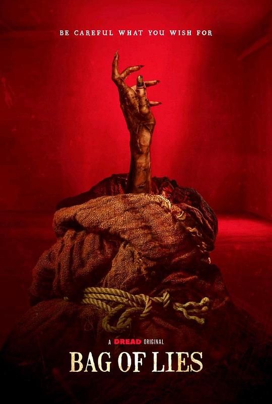 《魔袋谎言》电影封面