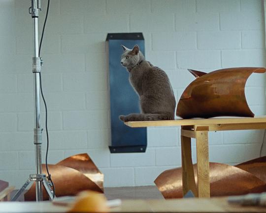 《The Invisible Worm》电影封面