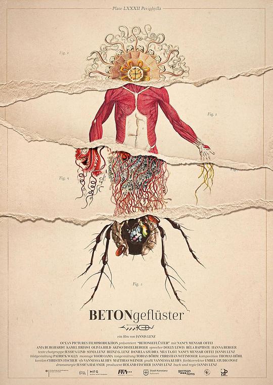 《城市的呓语》电影封面