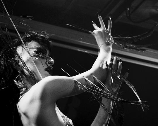 《The Princess and the Peacock》电影封面