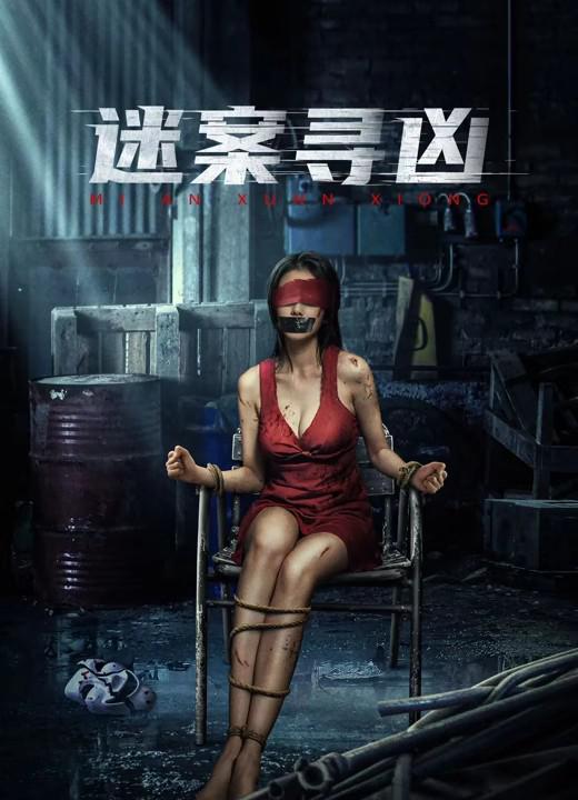 《迷案寻凶》电影封面