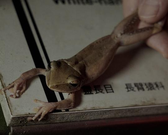 《除蛙記》纪录片封面