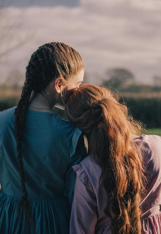 《姐妹妻情缘》电影封面