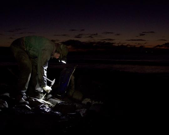 《fragments/anecdotes》纪录片封面