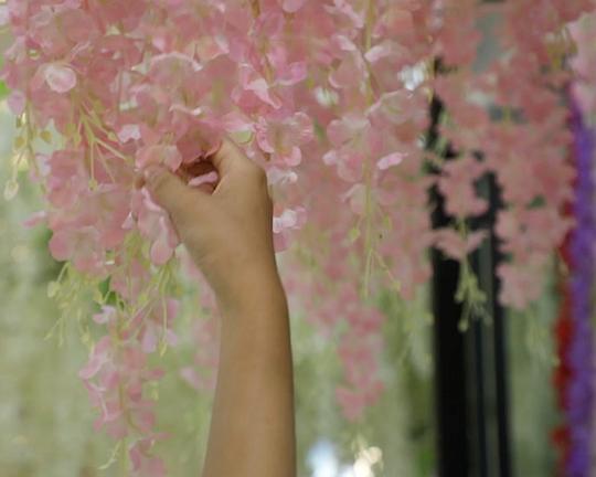 《A Terrible Beauty》纪录片封面