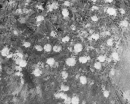 《구어》电影封面