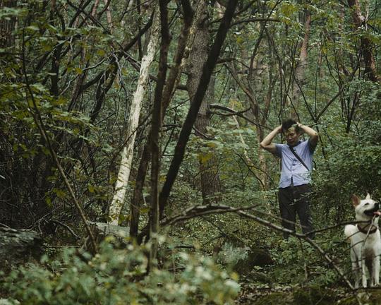 《黄昏》电影封面