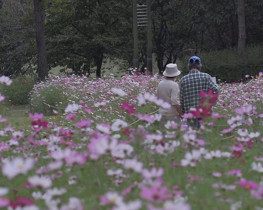 《来自风的话语》纪录片封面