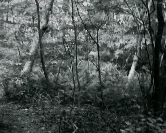 《支离破碎的信》纪录片封面