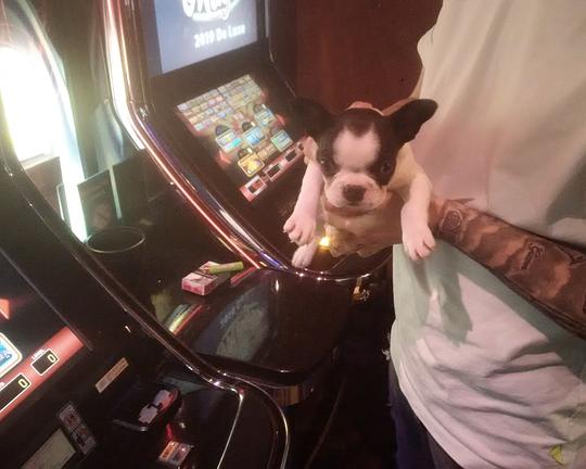 《Merkur》电影封面