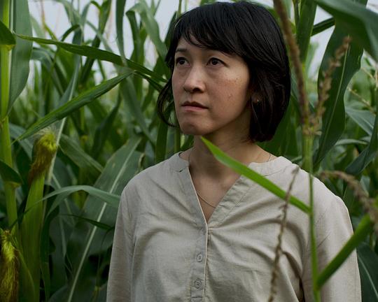 《Gezielt Mittelalterliche Überlegungen》电影封面